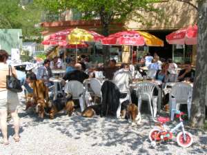 Les retrouvailles  l'ombre des parasols