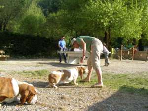 Scance d'ob