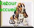 retour accueil