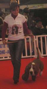 Premier ring d'honneur