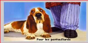 Cliquez pour connaitre toutes les facettes du caractre du basset hound