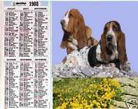 Le calendrier des expos et les rglements