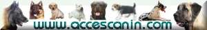 Ciquez pour accder  ce trs bon site canin