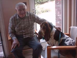 Notre basset hound remplit de joie un senior