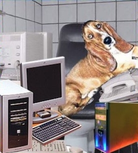 Cration de sites web pour le basset-hound ou autre chose
