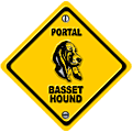 storia bassethound